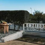 Rose Di Pietra *