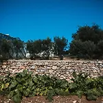 Rose Di Pietra *