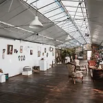 Rose Di Pietra