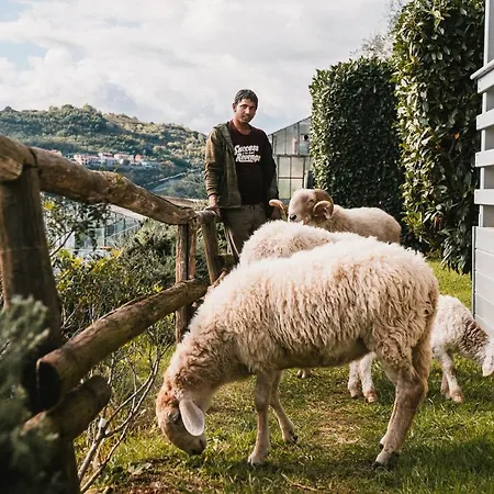 Farm stay Rose Di Pietra