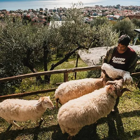 Farm stay Rose Di Pietra *