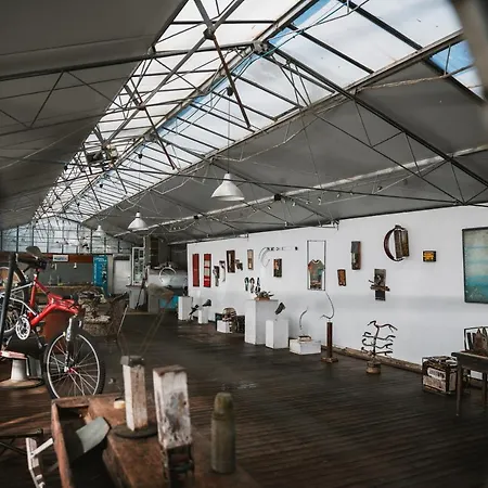 Rose Di Pietra Alojamento de Turismo Rural Pietra Ligure