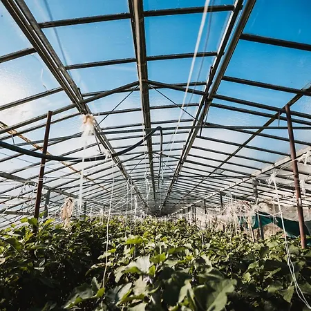 Rose Di Pietra Alojamento de Turismo Rural