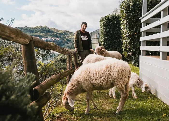 Agroturismo Rose Di Pietra